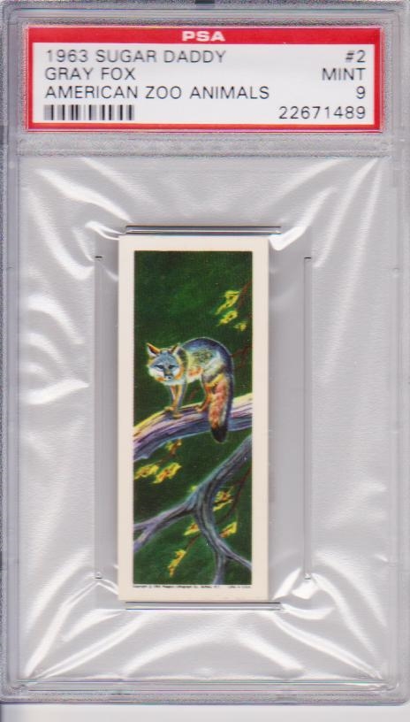 Non-Sports - 1963 Sugar Daddy American Zoo Animals: butchcen Set